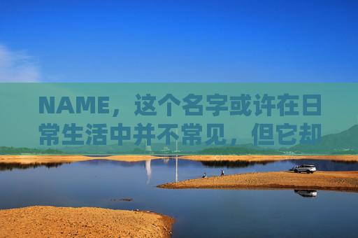 NAME,这个名字或许在日常生活中并不常见,但它却在某些领域里扮演着重要的角色。今天,让我们一起来探索这个名字背后的故事和意义