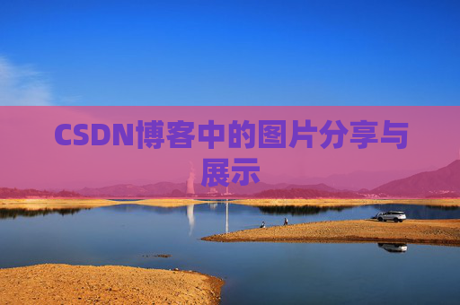 CSDN博客中的图片分享与展示